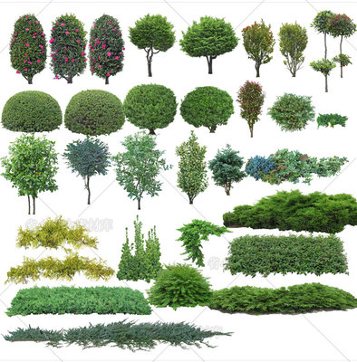 园林景观设计PSD模板树木植物近景花卉绿化效果图后期PS分层素材